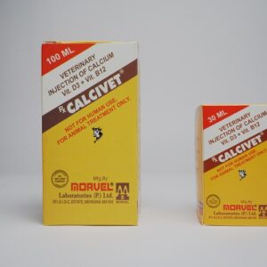 Calcium Levulinate D3,B12 Injection (Calcivet) – Morvel Veterinary
